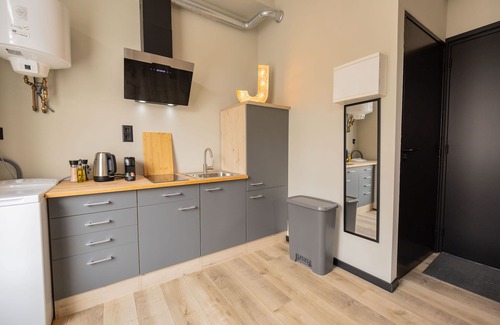 Stadsdriehoek Apartment | Luxe Loft Binnenrotte BR