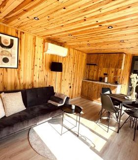 Matsloot House | Luxe Tiny House bij het Leekstermeer