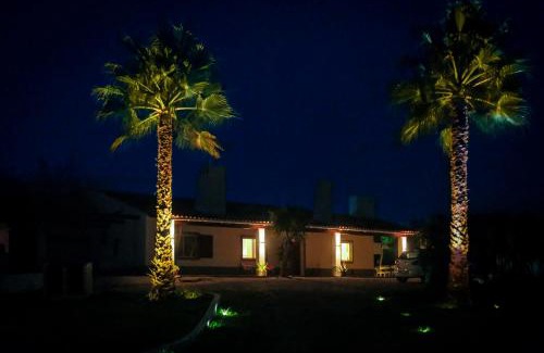 Luzianes Villa | Luxe villa for 8 - Private Pool -AC -BBQ Area - Patio - 160Mbps - Olives - Palm - vineyard