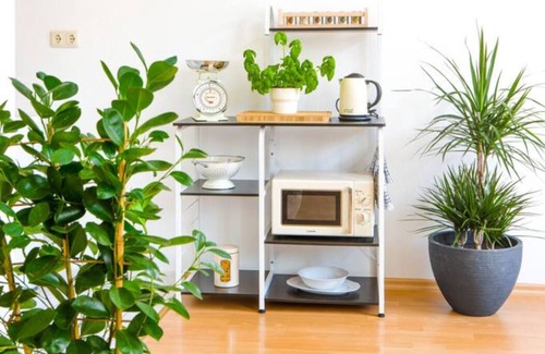 Innere Neustadt Apartment | Luxuriöse 2-Raum-Whg. Neustadt, Top Lage + Netflix