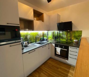 Amtsberg House | Luxuriöses Ferienapartment A2 mit umzäunten Garten, 55qm
