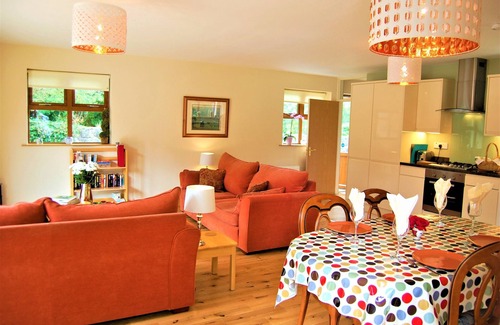 Clarinbridge House | Luxurious 5⭐️ Cottage with private Hot Tub, Galway