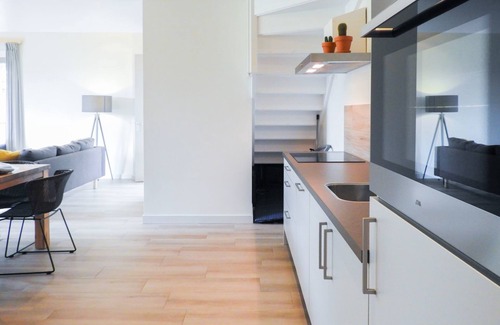 Grijpskerke House | Luxurious 8-person holiday apartment with free Internet in Grijpskerke, Walcheren
