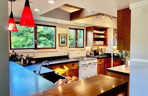 Mill Valley House | Luxurious, Art-filled Home in a Lush Oasis