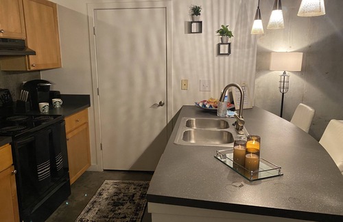 Home Park Condo | Luxurious Chanel Condo. Downtown Atl