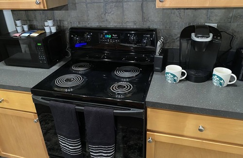 Home Park Condo | Luxurious Chanel Condo. Downtown Atl