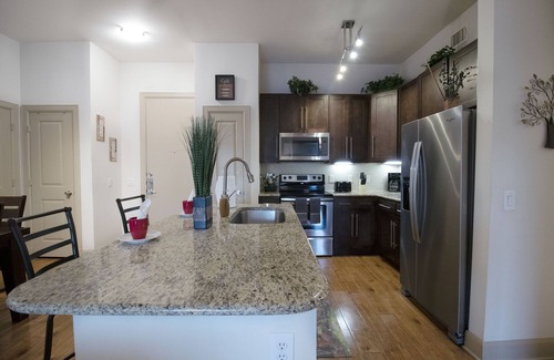 Astrodome Apartment | Luxurious, Spacious, Ground Floor, Med. Center 2x2, Walk-in Shower.