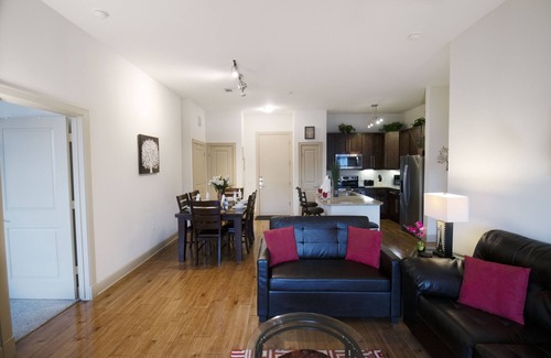 Astrodome Apartment | Luxurious, Spacious, Ground Floor, Med. Center 2x2, Walk-in Shower.