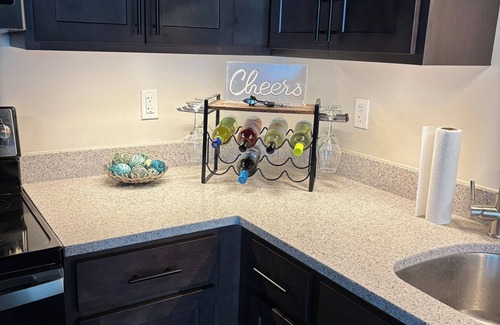 Stuart Condo | Luxury 1-bedroom Condo Downtown - AC, WiFi, Free Parking, in Kalamazoo 301