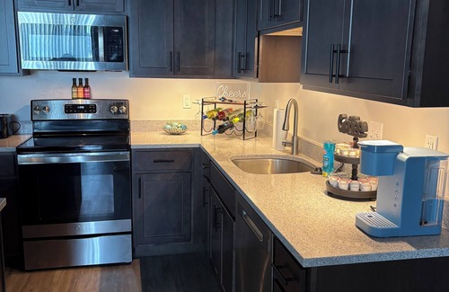 Stuart Condo | Luxury 1-bedroom Condo Downtown - AC, WiFi, Free Parking, in Kalamazoo 301