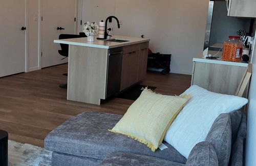Downtown Columbus Apartment | Luxury 1 bedroom skyline suite Downtown Columbus with the city view