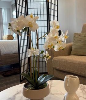 Heredia Apartment | Luxury apartment 10 min to Airport Be Cariari Condo #402