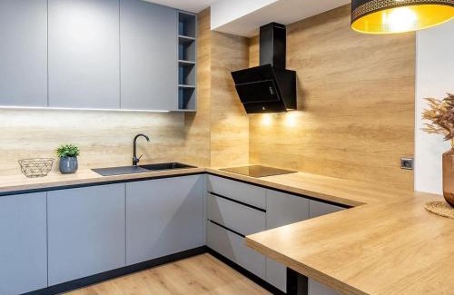 Zapad Apartment | Luxury Apartment Centre-VUSCH 2 parking included