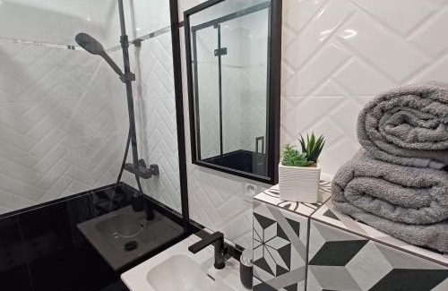 Kamienna Gora Apartment | Luxury Apartments Kamienna Góra