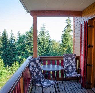 Hocko Pohorje Apartment | Luxury apartments Prežin
