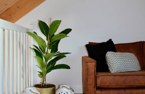 Boesingheliede Bed & Breakfast | Luxury Appartment Landelijk