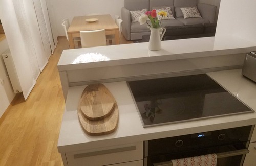 Kranjska Gora Apartment | Luxury Apt with balcony and sauna near ski slopes and biking/hiking trails