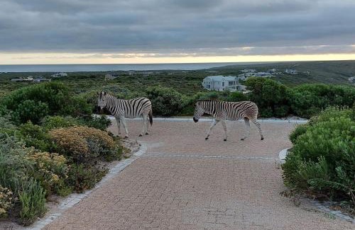 Gansbaai Villa | Luxury Beach House in Romansbaai Estate