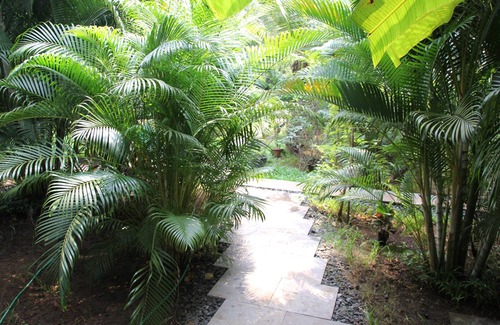 Morjim Cabin | Luxury cottage in a lush green-50 meters from Morjim beach