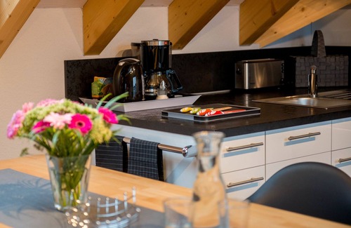 Bensheim Condo | Luxury design loft for 6-8 people - balcony/garden (3 bedrooms + 3 bathrooms)