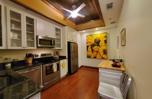 Athens Apartment | Luxury Downtown Athens Apartment Overlooking Historic North Campus