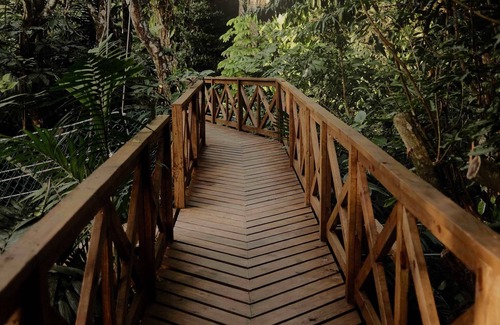 Teakettle Village Resort | Luxury Eco Family Cabaña