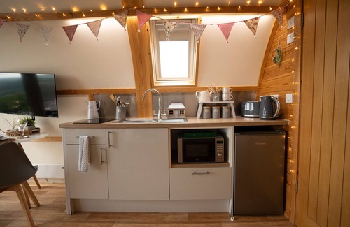Glandyfi Cabin | Luxury Ensuite Wooden Glamping Cabin