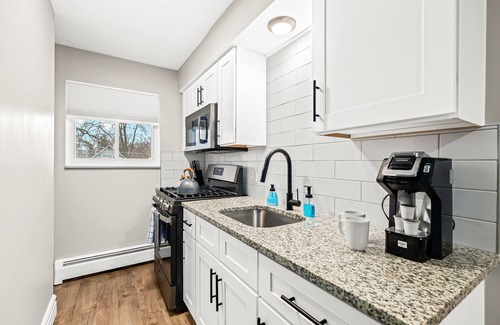 Mount Clemens Apartment | Luxury King Suite | Newly Renovated in Mt. Clemens