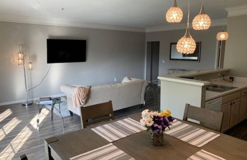 Dublin Condo | Luxury Modern 1 Bed/1 Bath Condo