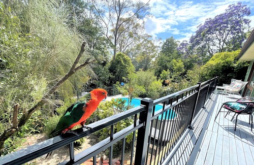 Winmalee House | Luxury Mountain Retreat, Swimming Pool, A/C with Forest Views