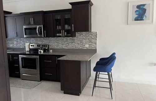 Havendale Apartment | Luxury one bed room apartment with AC, roof top pool, WIFI located in Kingston.