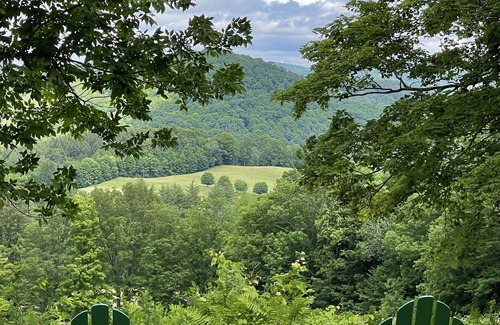 Woodstock House | Luxury, private, peaceful home with Instagram worthy amenities!
