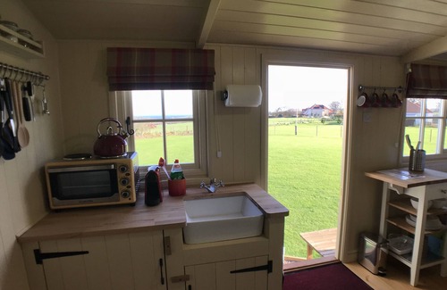 Coldingham Cabin | Luxury Shepherd's Hut (The Rowan) at Templehall