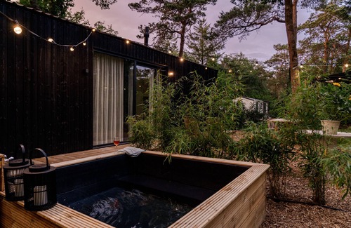 Nunspeet House | Luxury Spa Tiny House with hottub, in the woods, Japandi style