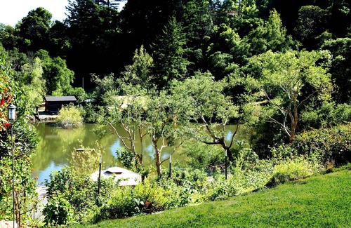 Los Gatos Apartment | Luxury Studio with Access to the Pond and SPA