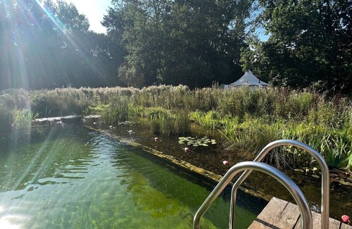 Haveringland Apartment | Luxury tent at Moat Island Glamping Natural pool