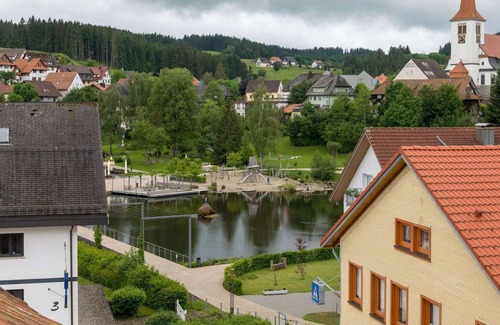 Schonach im Schwarzwald Apartment | Luxury vacation house with Wellness- and Fitness Area of 90 m2, large garden, BBQ, pond