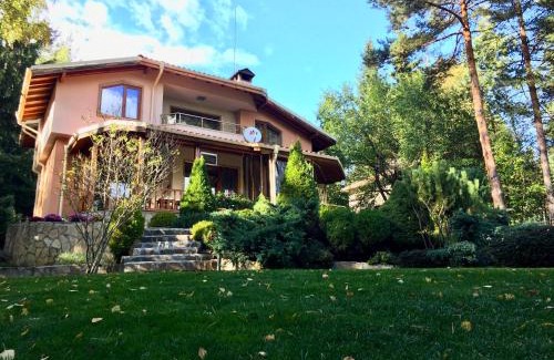Sofia Villa | Luxury Villa Borina
