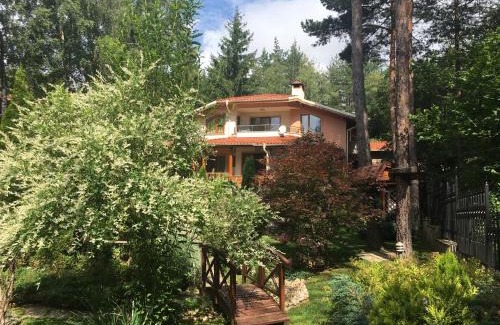 Sofia Villa | Luxury Villa Borina