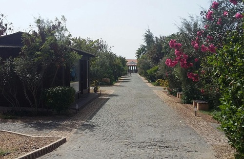 Sal Villa | Luxury Villa With Private Pool In Santa Maria With Panoramic Sea Views
