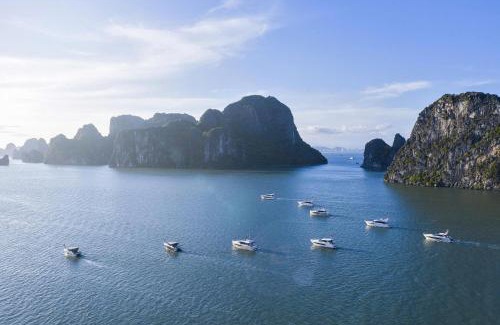 Ha Long Boat Rental | Luxury Yacht Ha Long Bay - Managed by Vietyacht Club