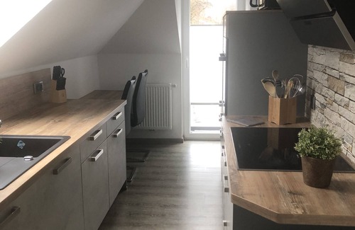 Bad Elster Apartment | Luxus-dachgeschoos Ferienwohnung Parkblick mit Dachterrasse , Kamin , 2 SZ