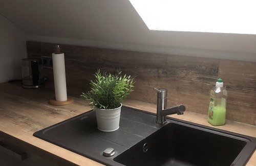 Bad Elster Apartment | Luxus-dachgeschoos Ferienwohnung Parkblick mit Dachterrasse , Kamin , 2 SZ