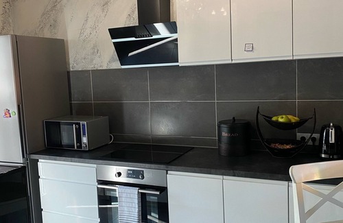 Plauen Apartment | Luxus Design FeWo und Salzgrotte