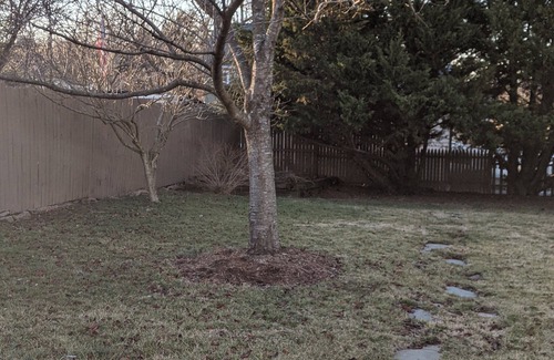 New Market House | LYNN'S HISTORICAL BEAUTY