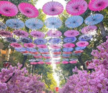 Thanh Thuy Villa | Lynn Times Thanh Thuỷ Phú Thọ khu nghỉ dưỡng khoáng nóng ONSEN