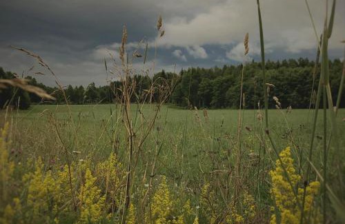 Hjo House | Mölebo Country School