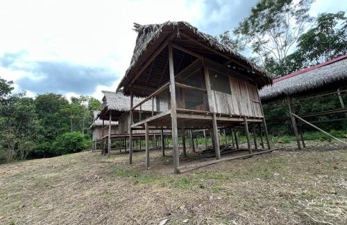 Saquena Other | Macaw Adventures Lodge