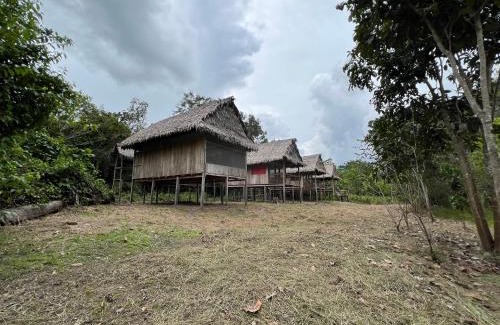 Saquena Other | Macaw Adventures Lodge