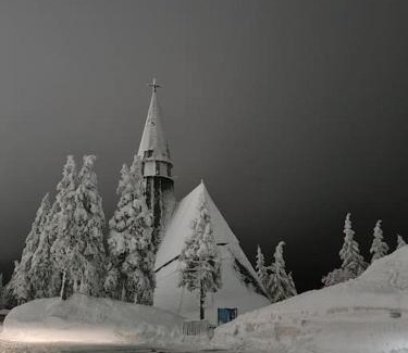 Zrece House | Macesen apartment Rogla